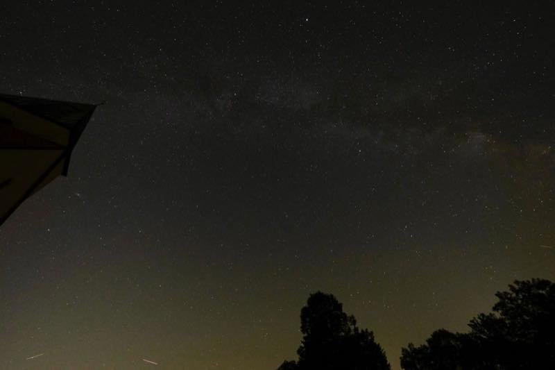 Ağaç siluetleri üzerinde Samanyolu ile yıldızlı bir gece göğü